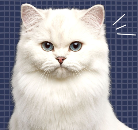 รูปภาพสำหรับผู้ขายนี้ nstest